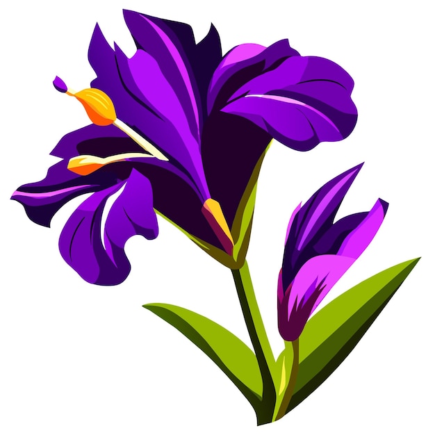 Vector purple iris flower with bright yellow elements on the petals spring