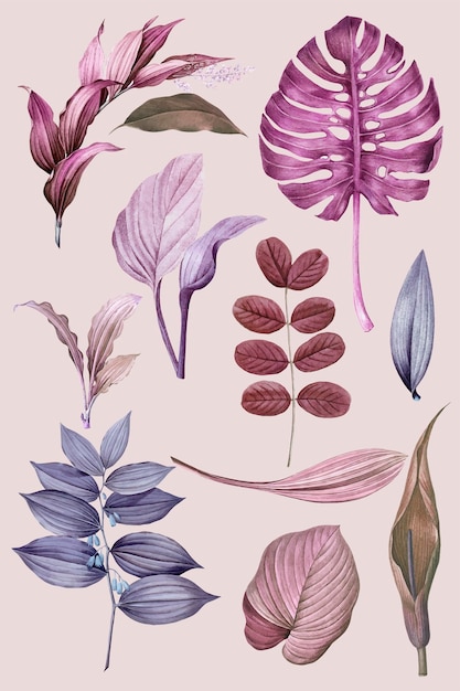 Vector purple leaves collection design vector