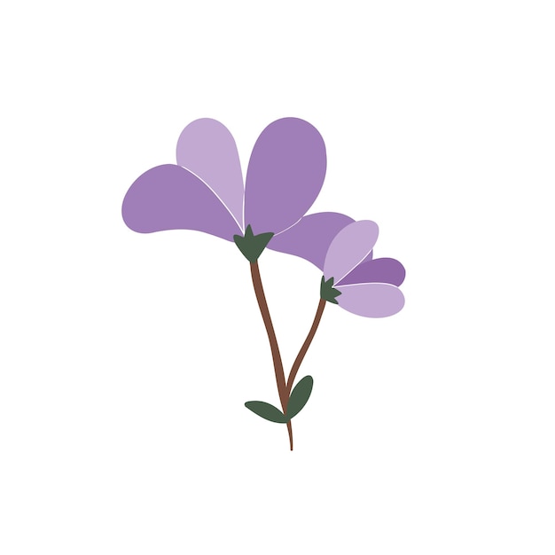 Purple magnolia handdrawn Purple cartoon plant Color vector illustration of an Asian flower on an isolated white background Blooming decorative design element