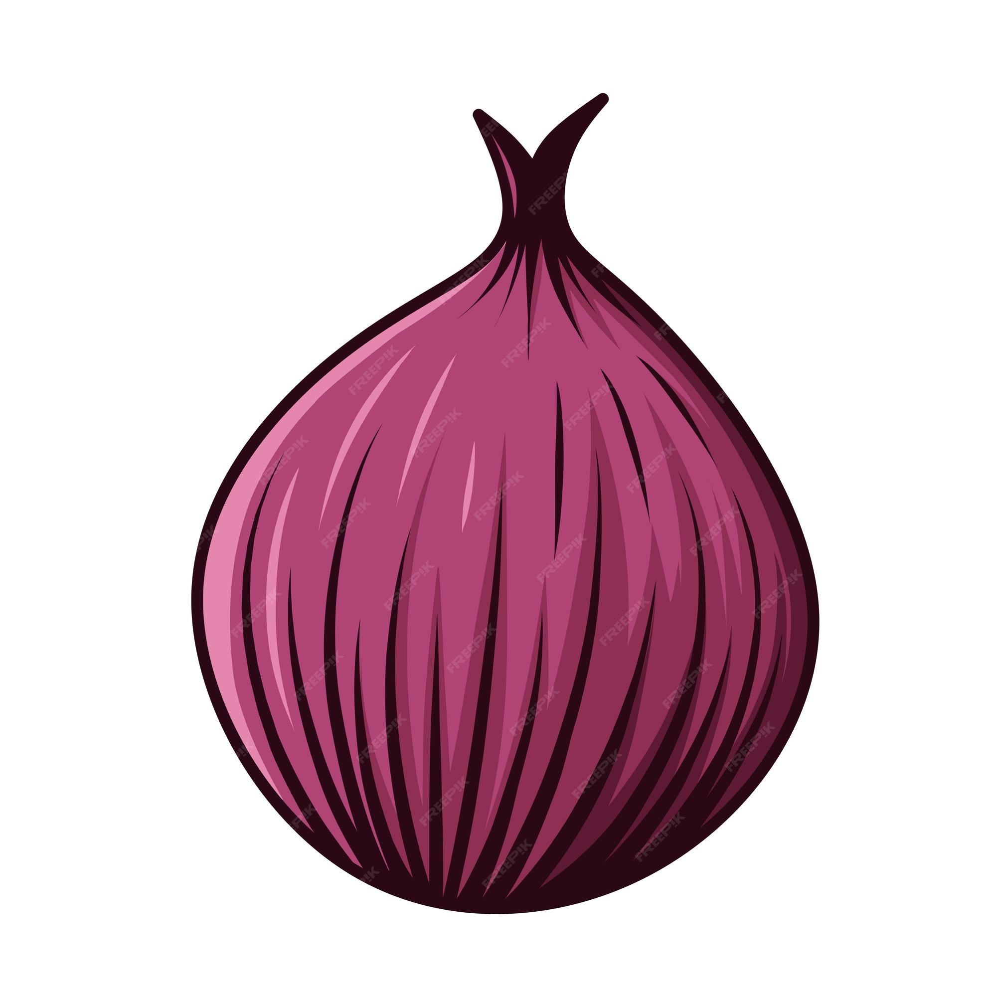 Purple shallots onion 6476681 Vector Art at Vecteezy