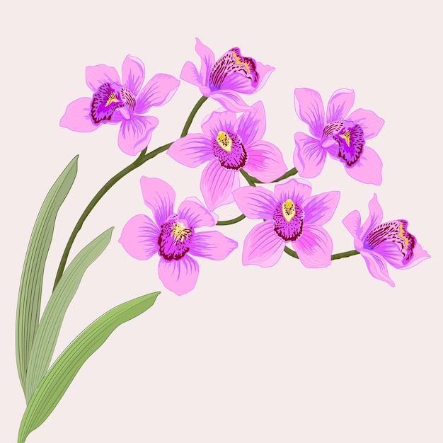 Vector purple orchid vector design