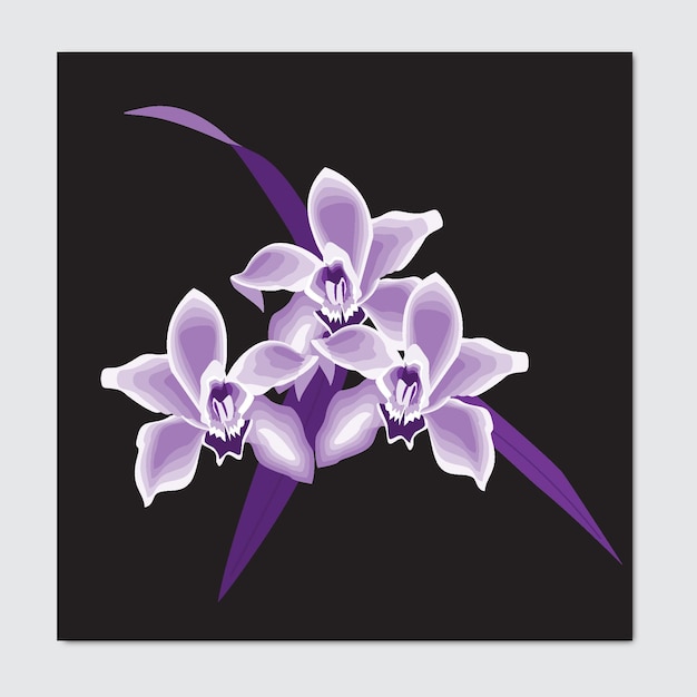 purple orchid with solid black background