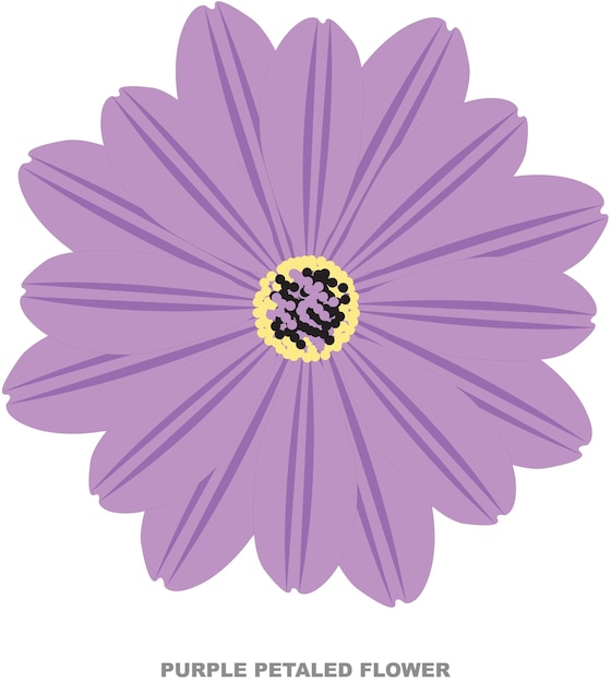 Vector purple petaled flower vector