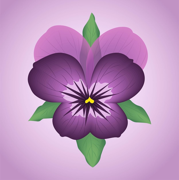 Purple realistic pansy