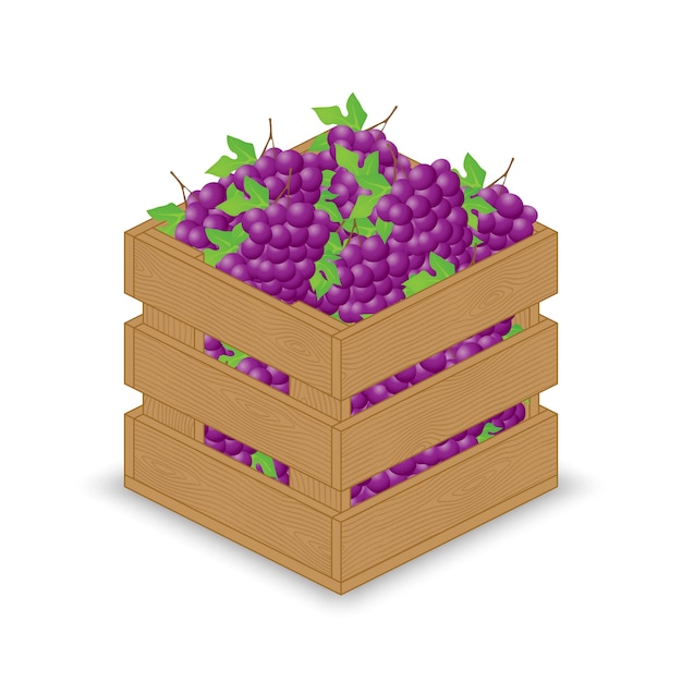 Purple red blue grapes in wooden crate