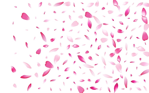 Vector purple rose petal white background. color floor cherry petal pattern.