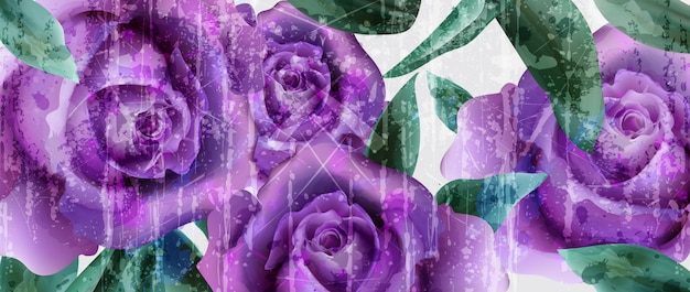 Purple roses watercolor background