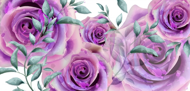 Purple roses watercolor banner