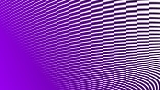 Purple stripes curve lines abstract background for backdrop or fabric style