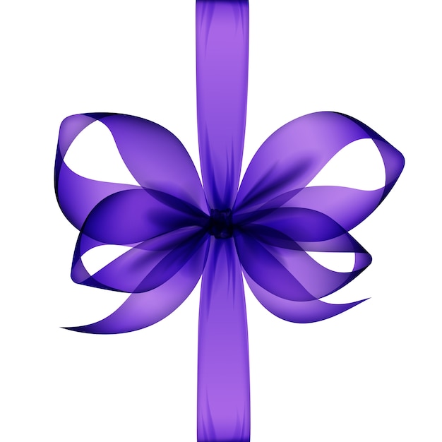 Purple Transparent Bow and Ribbon Top View Close up Isolated.