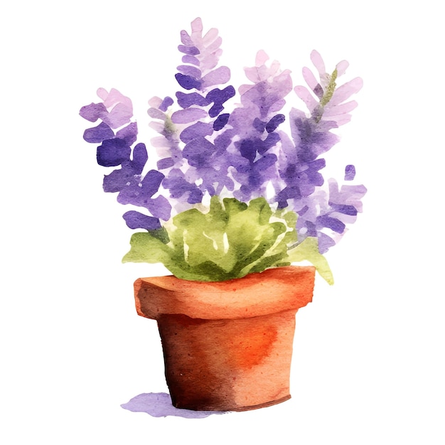 purple watercolor wisteria illustration