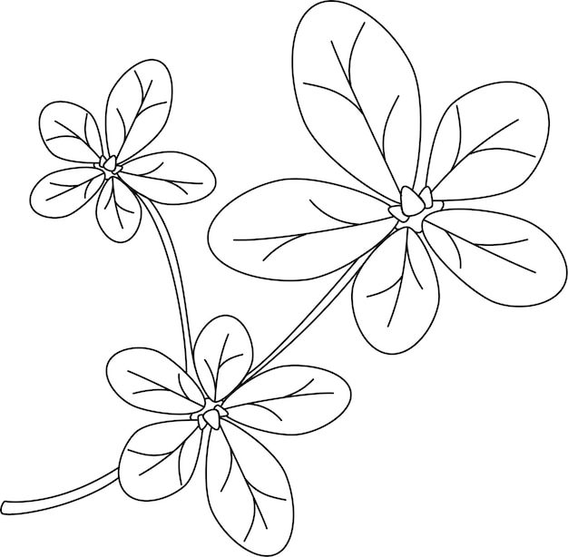 Vector purslane leaf vector icon black and white