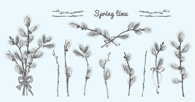 Pussy willow branches set spring bouquet with ribbon bow handdrawn sketch black and white design isolated on blue background outline sunday easter symbol collection vector