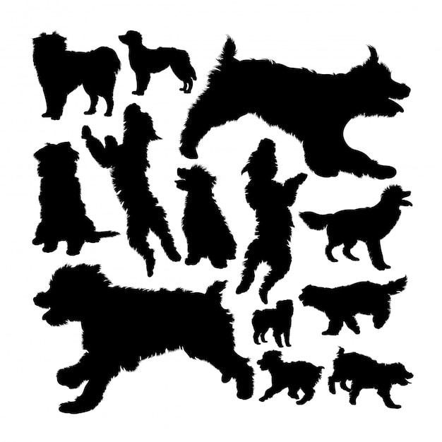 Pyrenean shepherd dog silhouettes