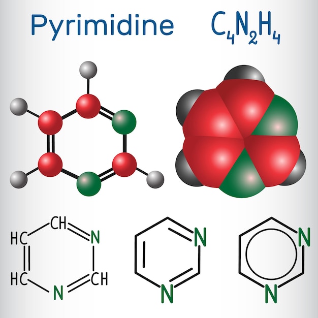 Pyrimidine molecuul is een aromatische heterocyclische organische verbinding Structurele chemische formule en molecuulmodel