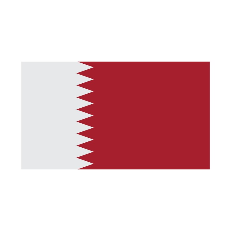 qatar flag icon vector