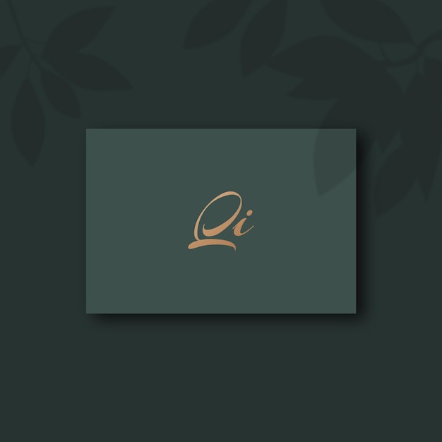 Qi logo ontwerp sjabloon