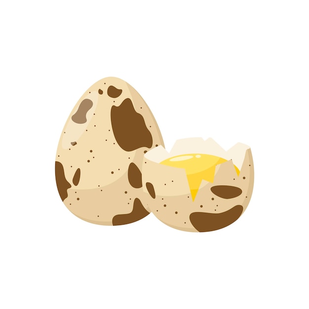 Quail eggs on a white background Cartoon design