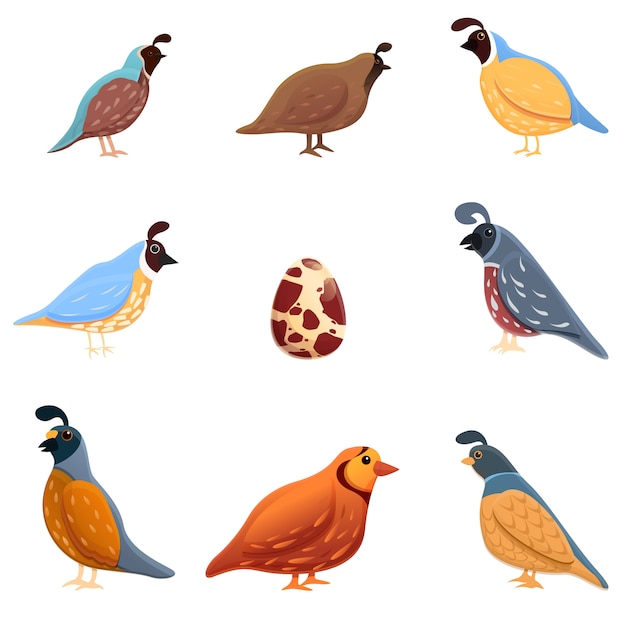 Quail icons set, cartoon style