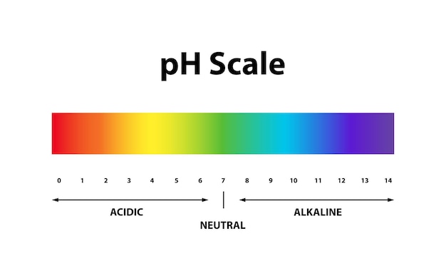 Vector quantitative ph level scale chart indicator diagram value alkaline neutral acidic solution