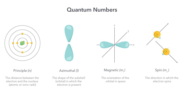 Quantum numbers physics vector illustration infographic