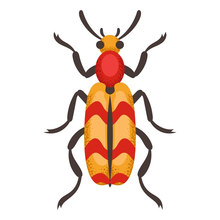 Vector queen bee beetle