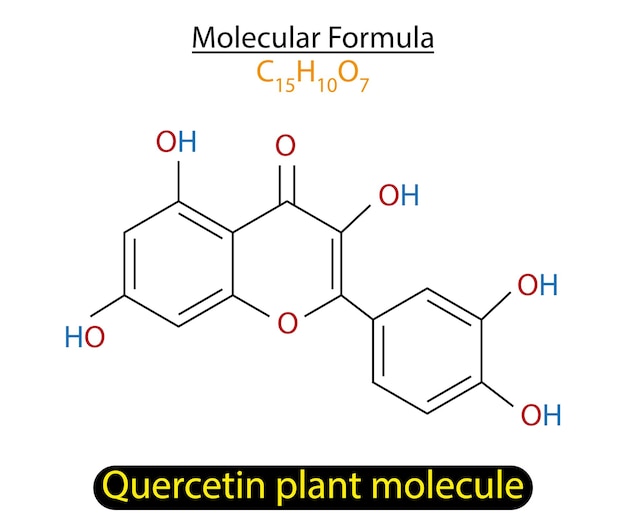 Quercetin plant molecule skeletal formula vector illustration