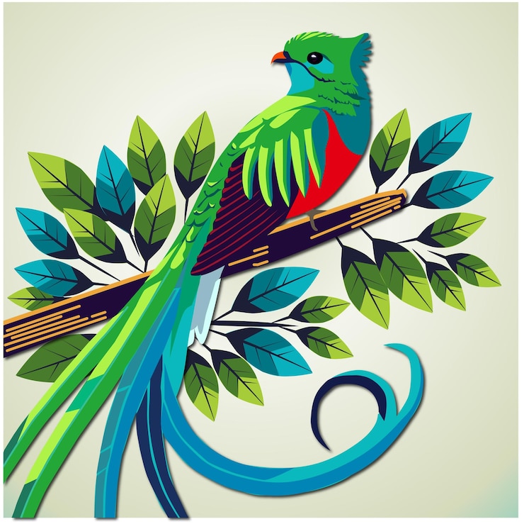 वेक्टर quetzal ave nacional de guatemala