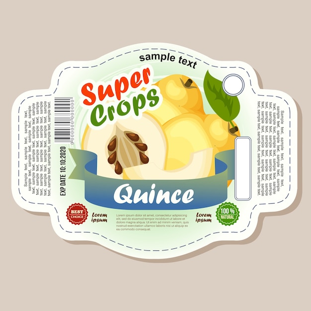 Vector quince label sticker