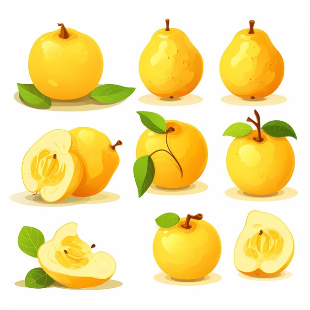 Vector quince