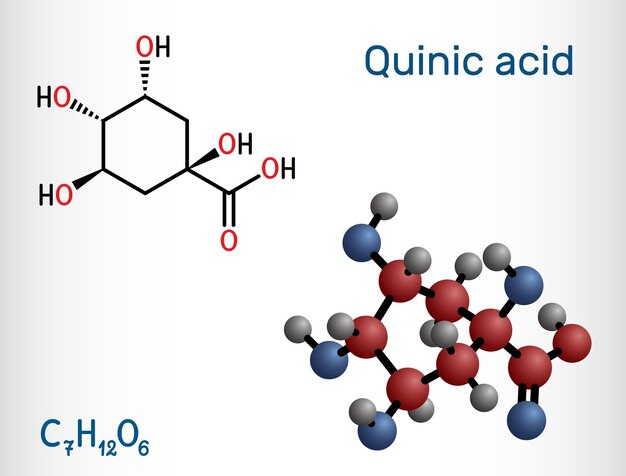 Quinic acid molecule Natural plantderived compound with antioxidant and antiinflammatory properties