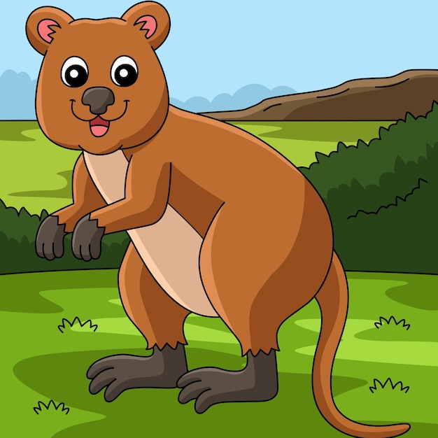 Quokka Animal Colored Cartoon Illustration