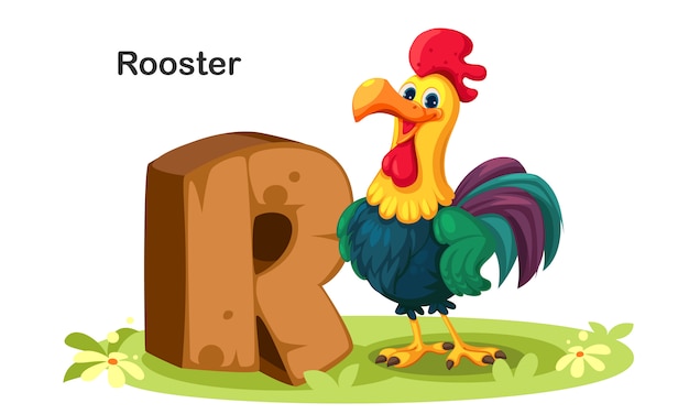 R voor rooster