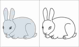 Vector rabbbit outline and colour illuration