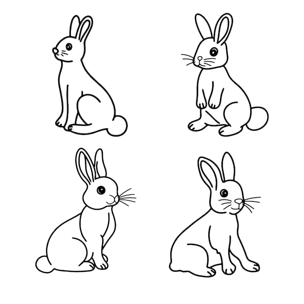 Vector rabbit bunny animals