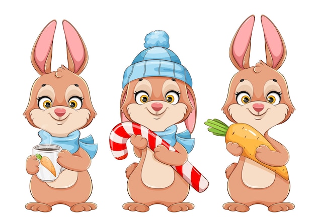 Rabbit cartoon character set of three poses