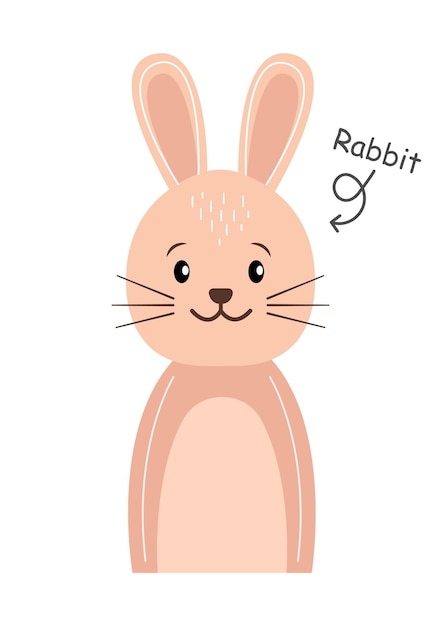 Rabbit cartoon character vector