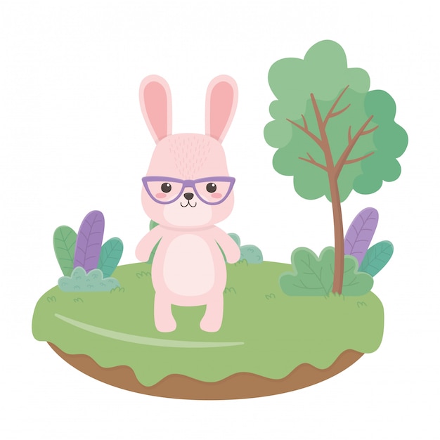 Rabbit cartoon  vector illustrator