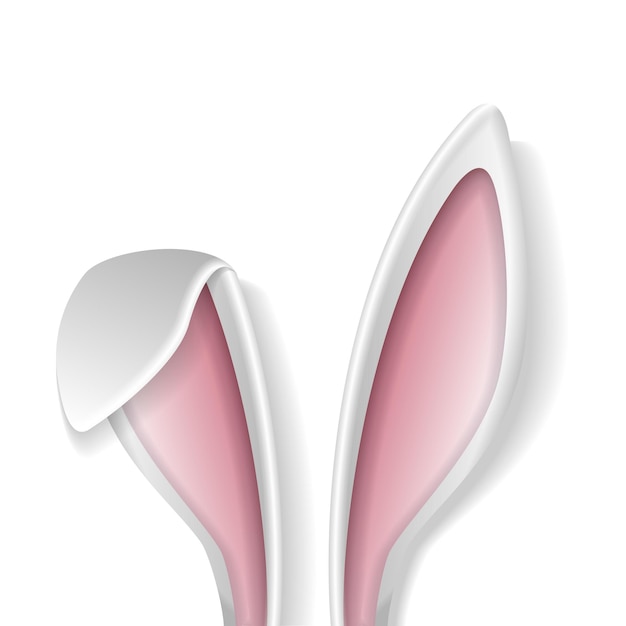 Vector rabbit ears voluminous white ears of the easter bunny