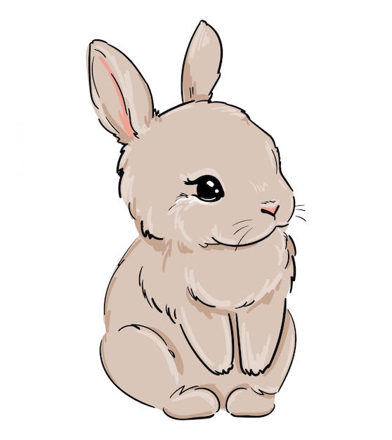 Vector rabbit. hand drawn cute bunny.   illustration.