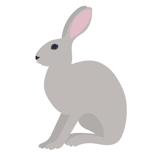 rabbit, hare flat design on white background isolated, vector