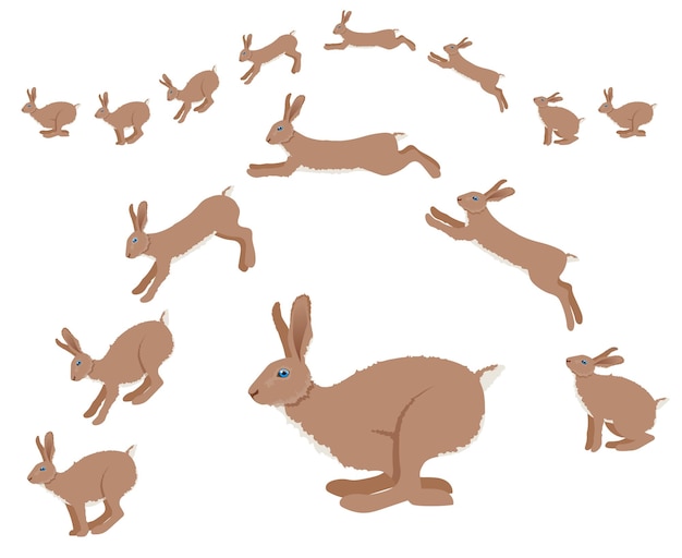 Vector rabbit or hare jumping motion animation sequence. vector illustration