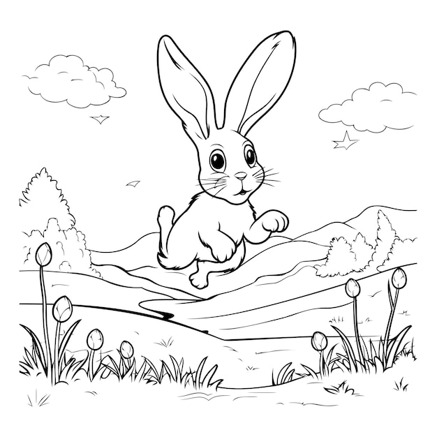 Rabbit on a meadow Vector illustration for coloring book