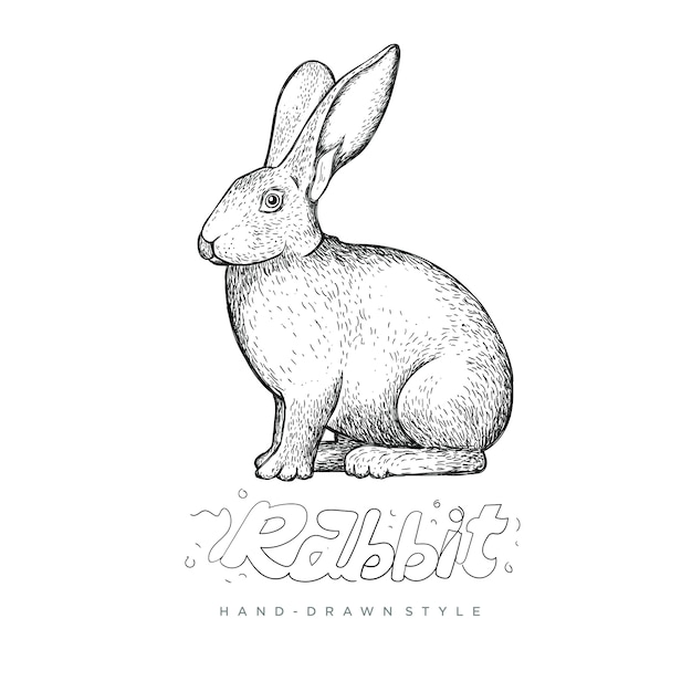 ウサギ座る手描きスタイル、動物のイラストが現実的な黒と白の抽象に見える