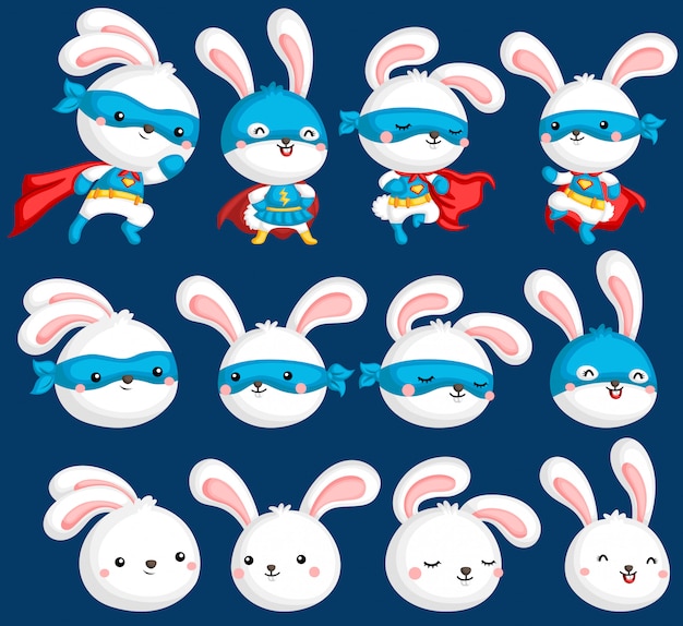 Collezione rabbit superhero