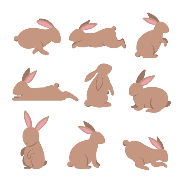 Rabbit vector cartoon set icon