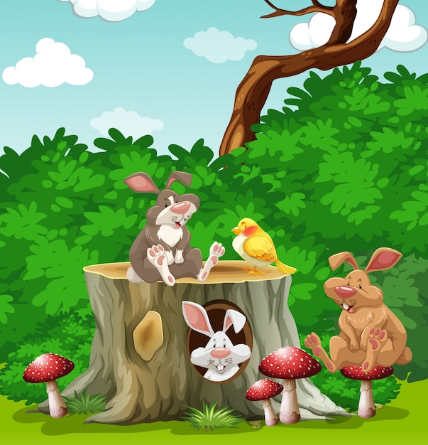 Rabbits and bird in the garden illustration