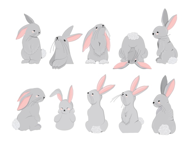 Rabbits character set Symbol of 2023 Year of the rabbit