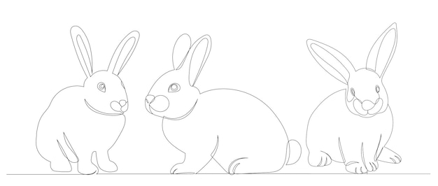 Rabbits continuous line drawing vector