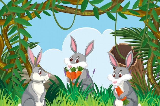 Rabbits in jungle scene